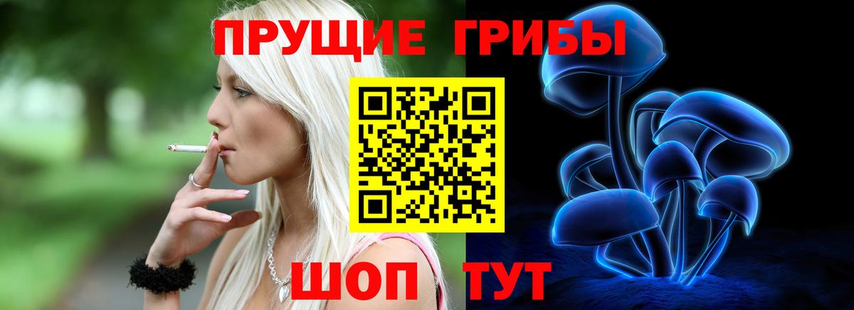 Галлюциногенные грибы прущие грибы  Вход с VPN  Владикавказ 
